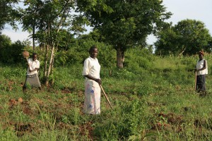 People-on-the-field-Kenya