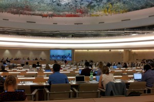 IGWG-first-session