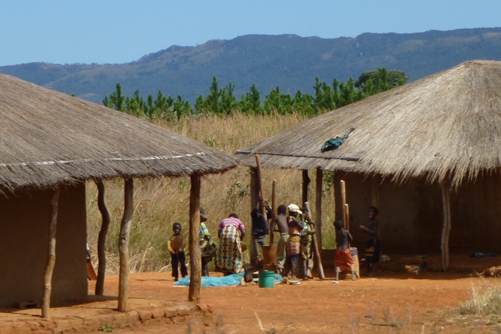 Vom Ausland finanzierte Baumpflanzungen bedrohen die Ernährungsgrundlage dieser Gemeinschaft in Mozambique. Eine Menschenrechtsverträglichkeitsprüfung wäre nötig gewesen.