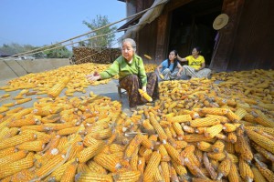 World_Food_Day_2015
